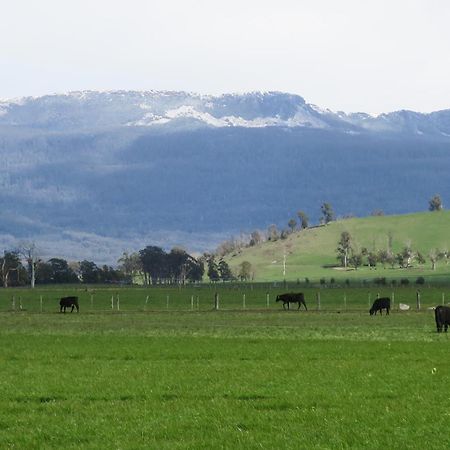 Blakes Manor Self Contained Heritage Accommodation Deloraine Bagian luar foto